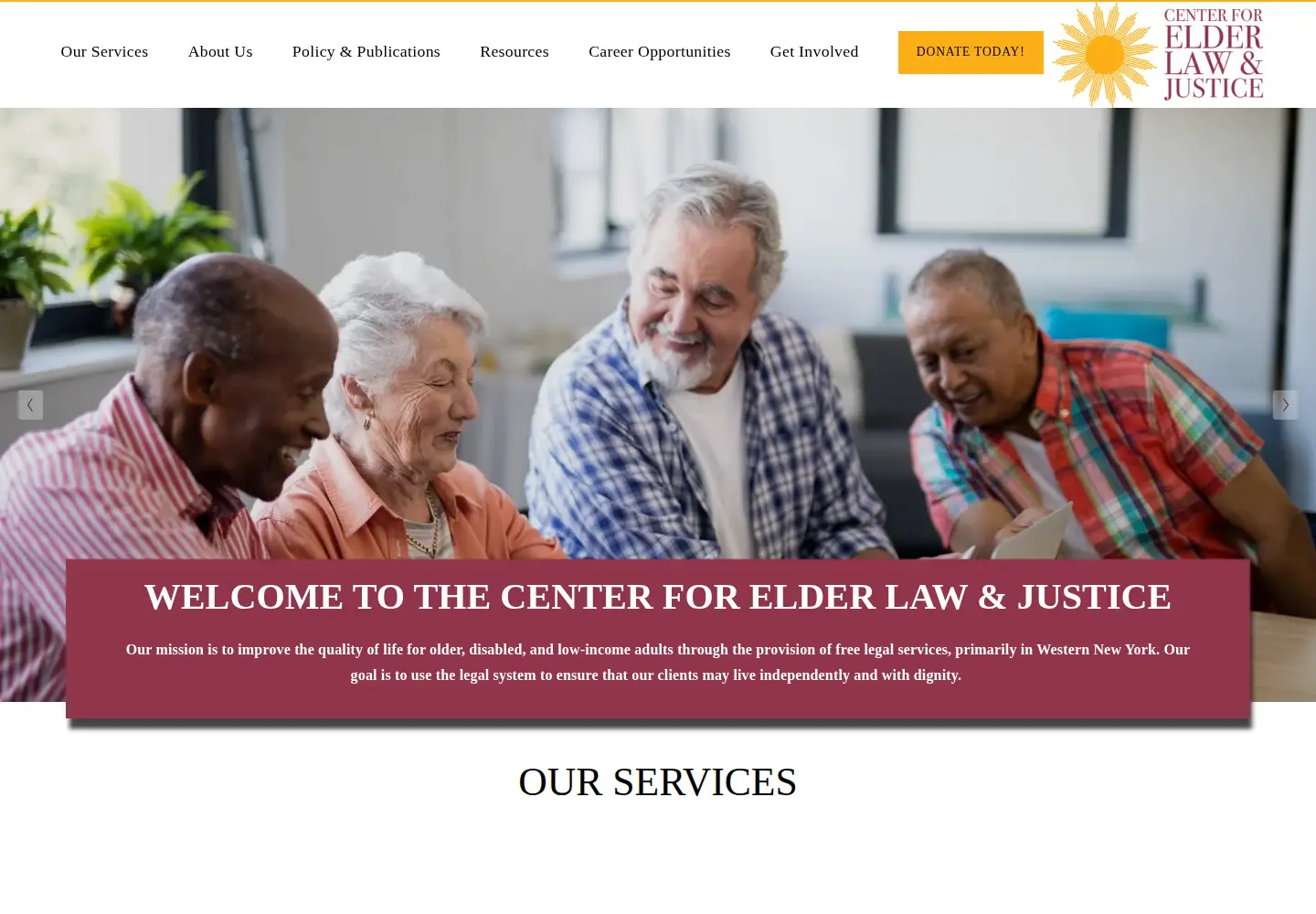 Captured homepage of elderjusticeny.org in the current scan