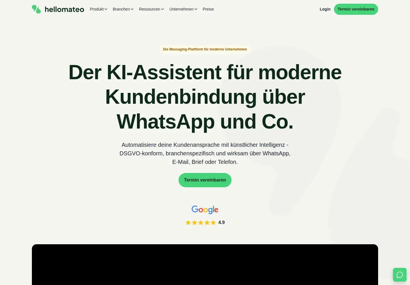 Captured homepage of hellomateo.de in the current scan