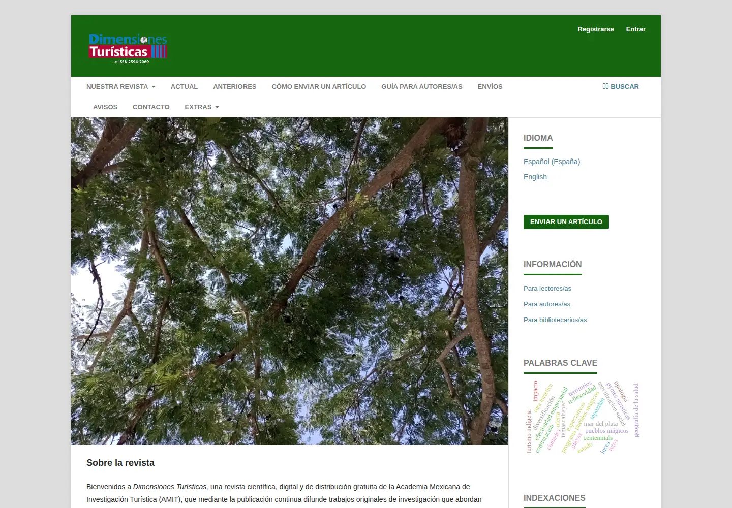 Screenshot of dimensionesturisticas.mx