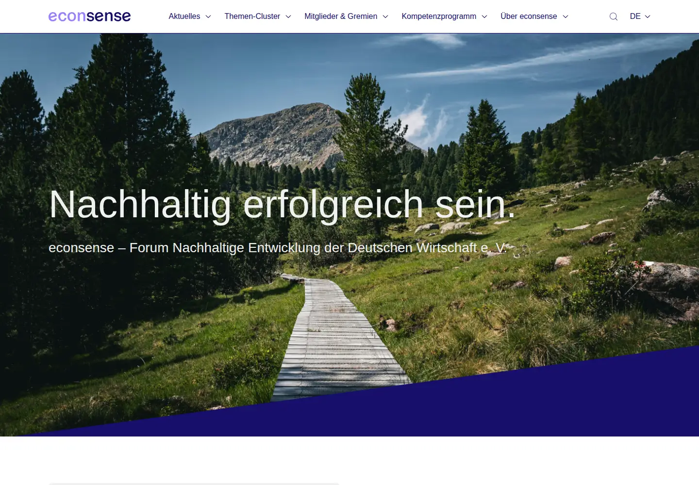 Screenshot of econsense.de