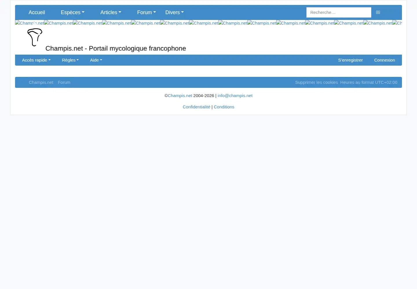 Screenshot of champis.net