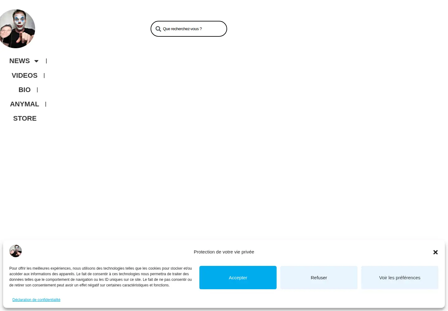 Screenshot of nimportequi.com