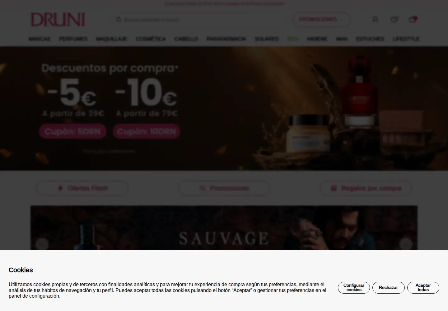 Captured homepage of druni.es in the current scan