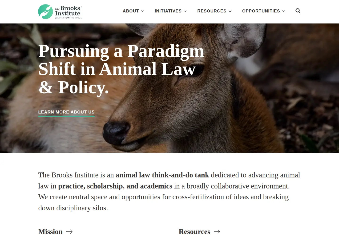 Screenshot of thebrooksinstitute.org