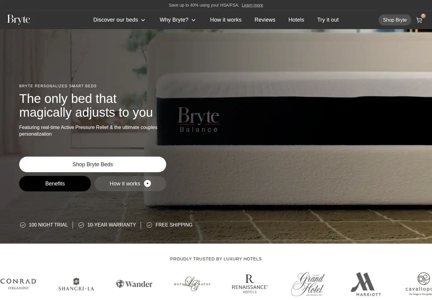 Screenshot of bryte.com