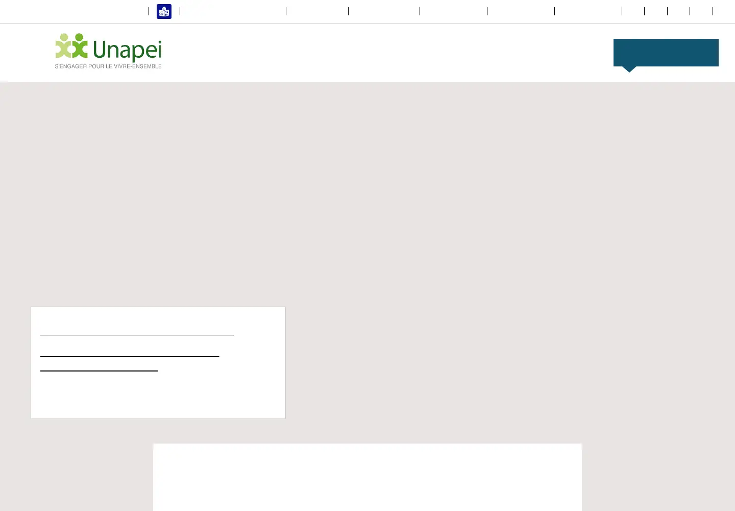 Screenshot of unapei.org