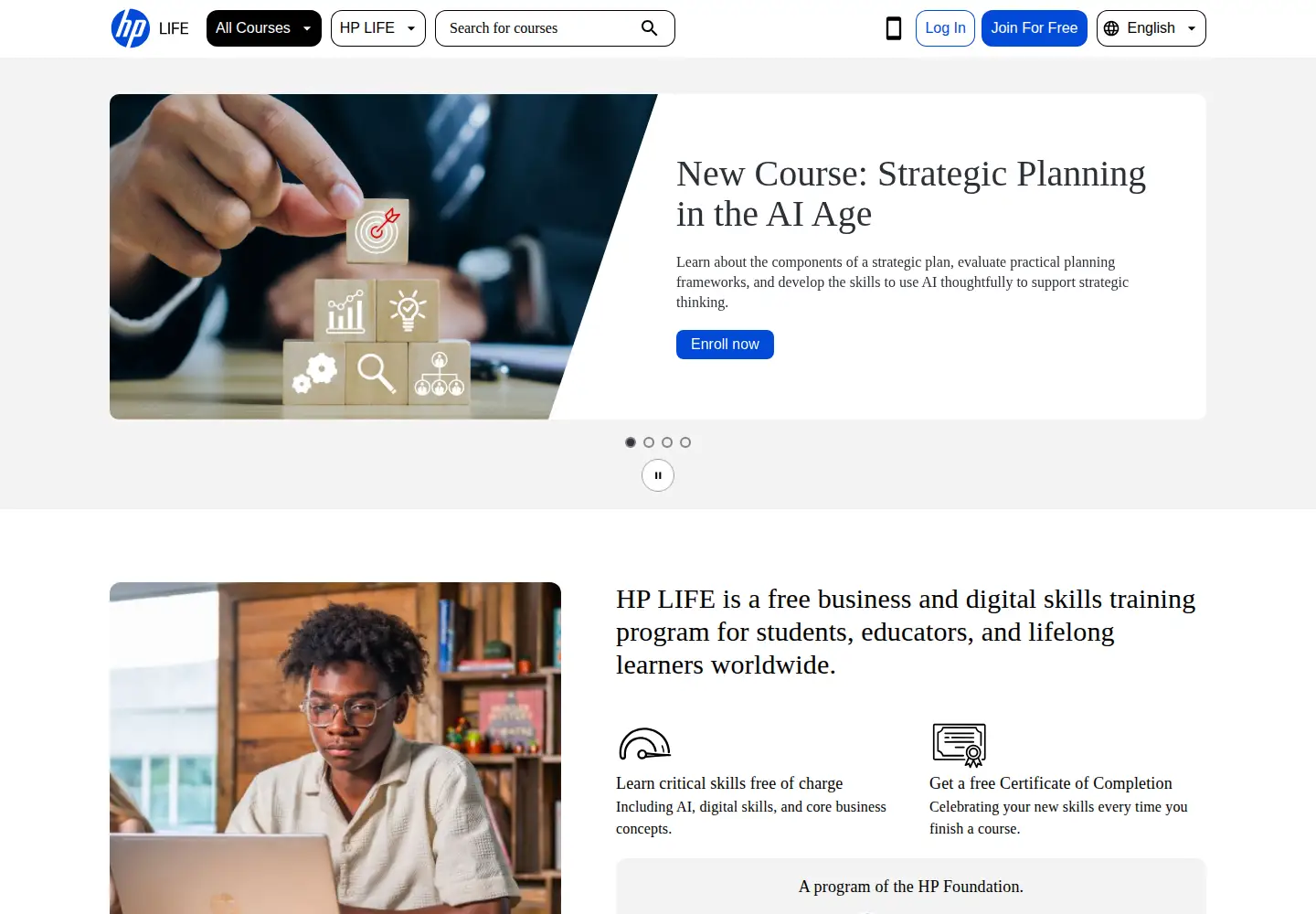 Captured homepage of life-global.org in the current scan