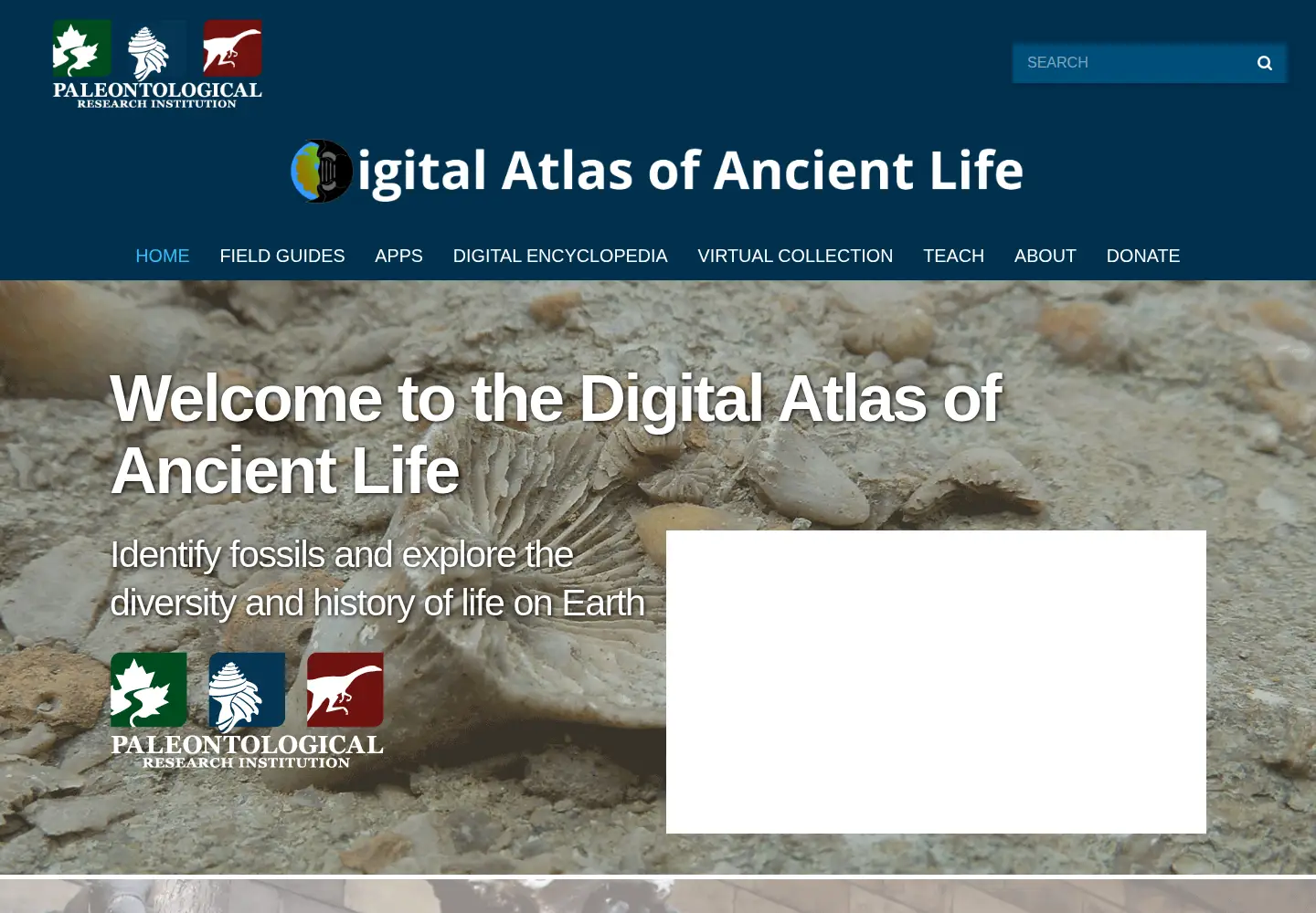 Screenshot of digitalatlasofancientlife.org