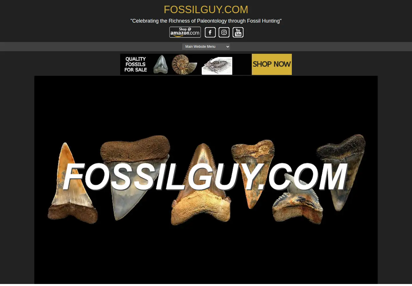 Screenshot of fossilguy.com