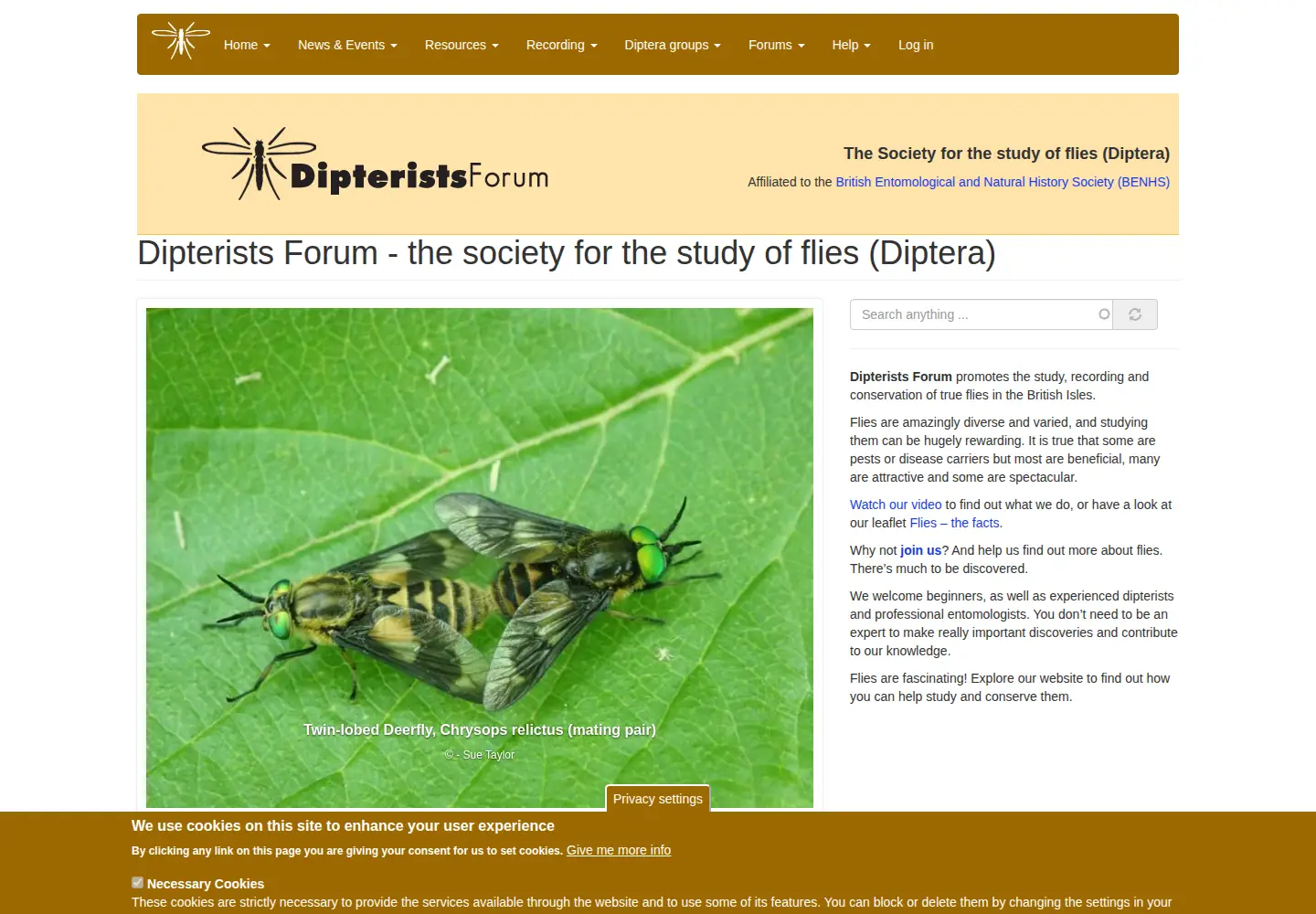 Screenshot of dipterists.org.uk
