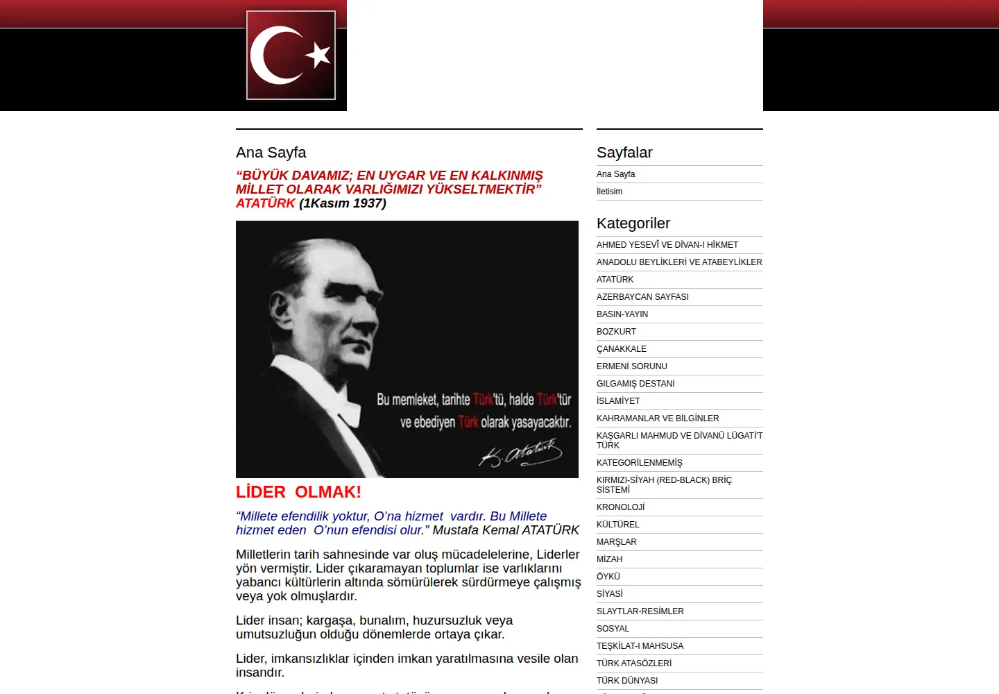 Captured homepage of yenidenergenekon.com in the current scan