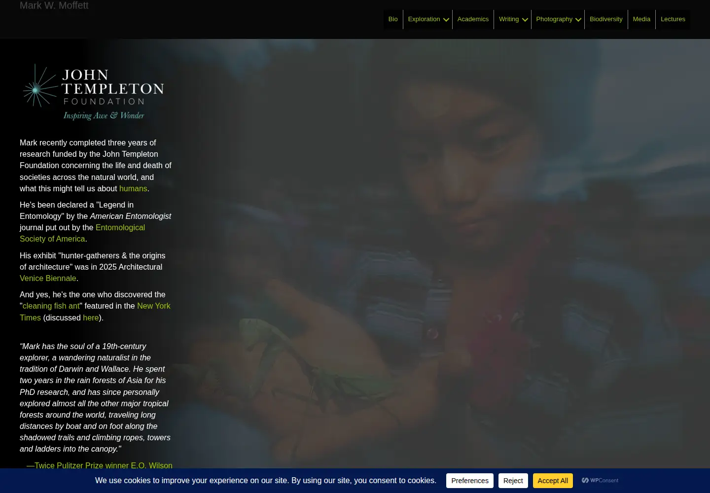 Captured homepage of doctorbugs.com in the current scan