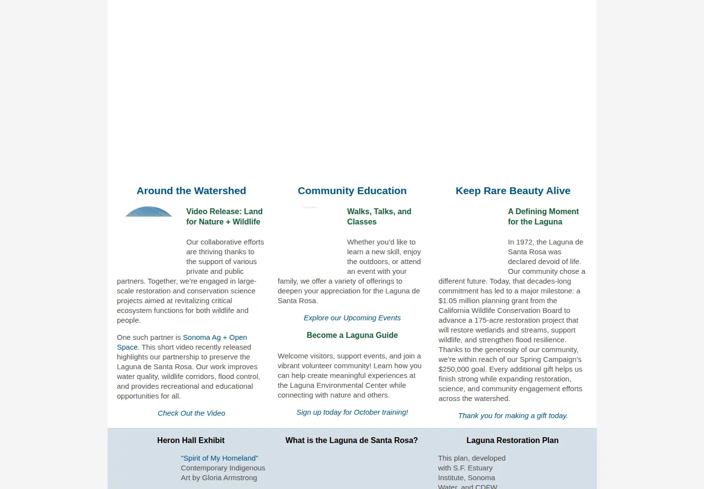 Captured homepage of lagunafoundation.org in the current scan