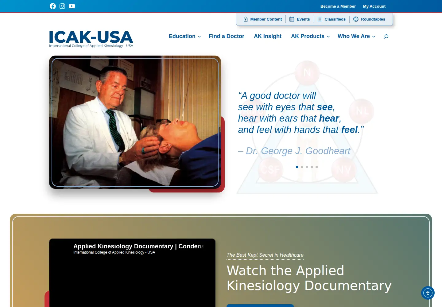 Screenshot of icakusa.com