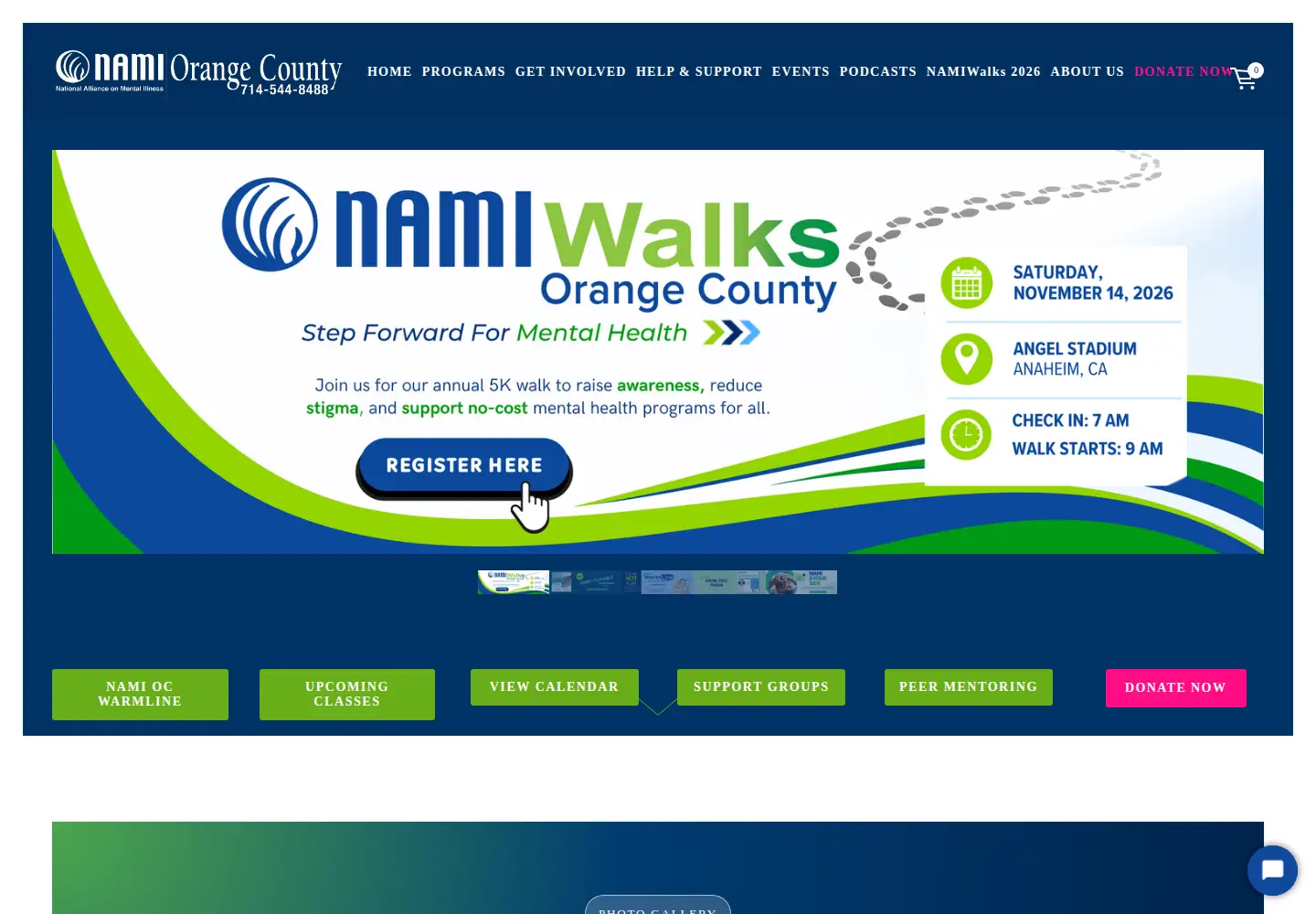 Screenshot of namioc.org