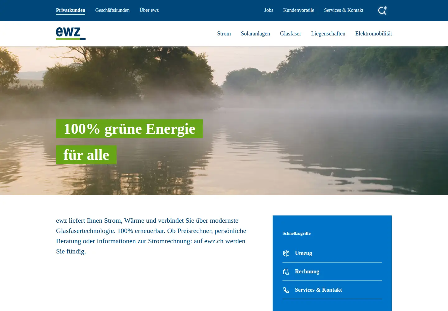 Screenshot of ewz.ch