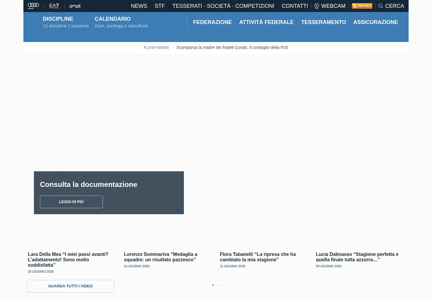 Screenshot of fisi.org