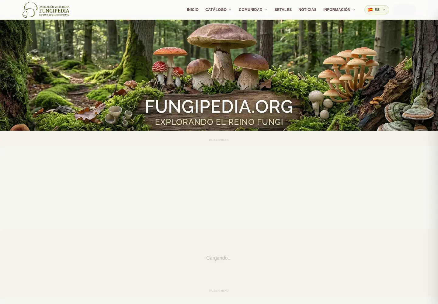 Captured homepage of fungipedia.org in the current scan