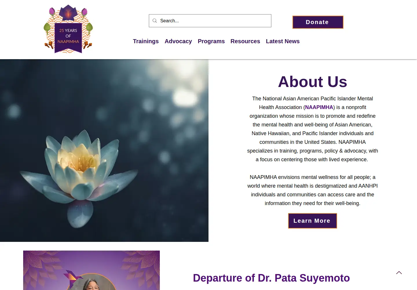 Screenshot of naapimha.org