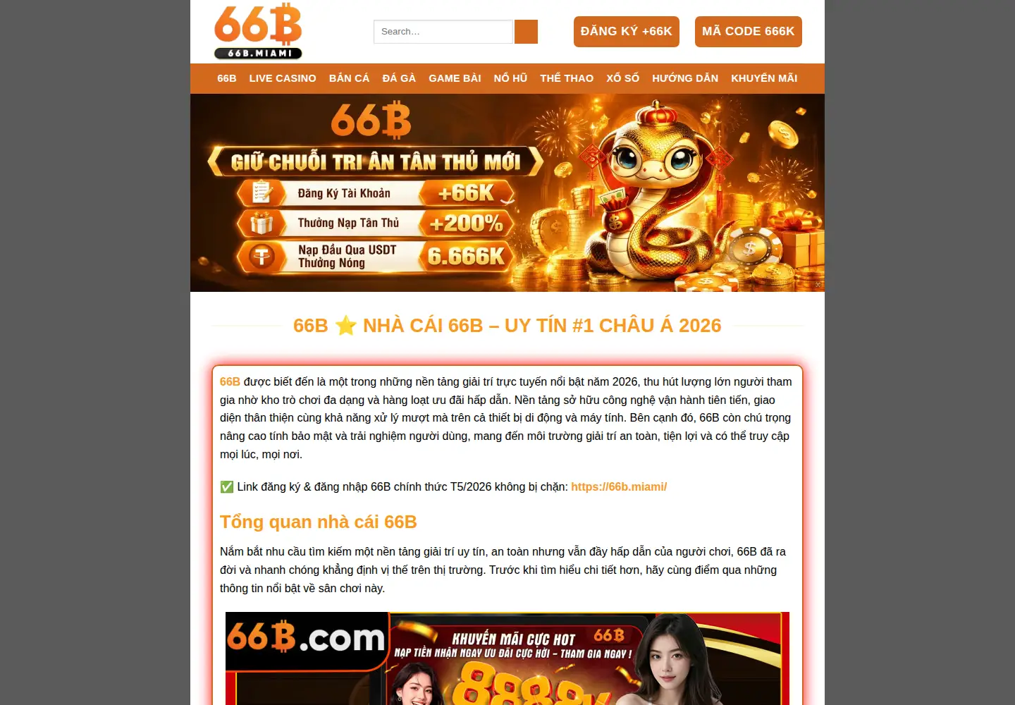 Screenshot of 66b.miami