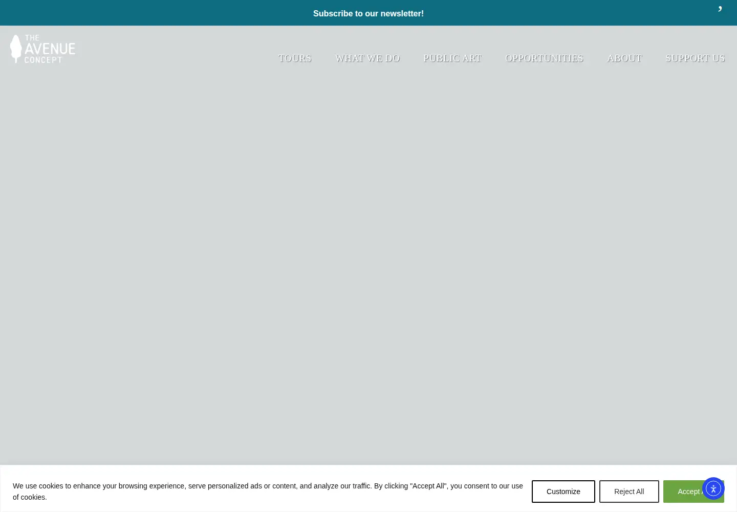 Screenshot of theavenueconcept.org