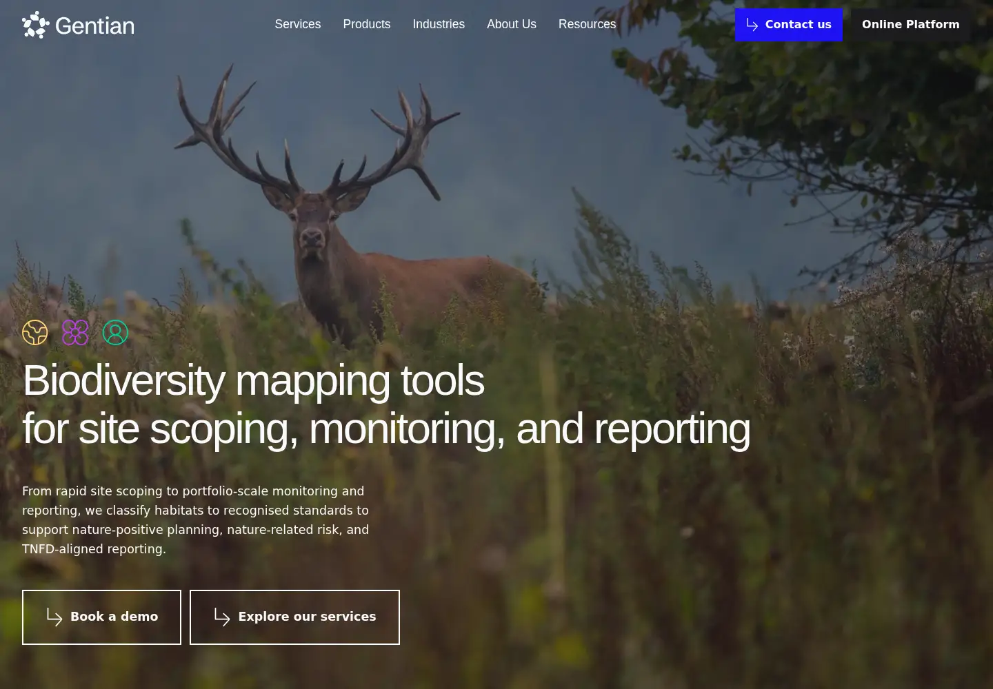 Screenshot of gentian.io
