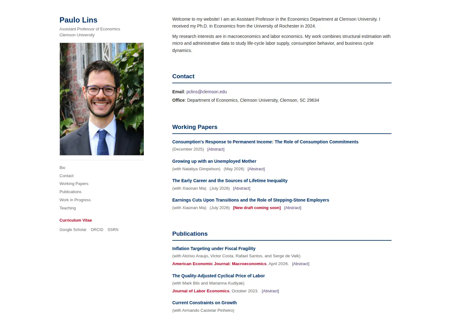 Screenshot of pauloclins.com