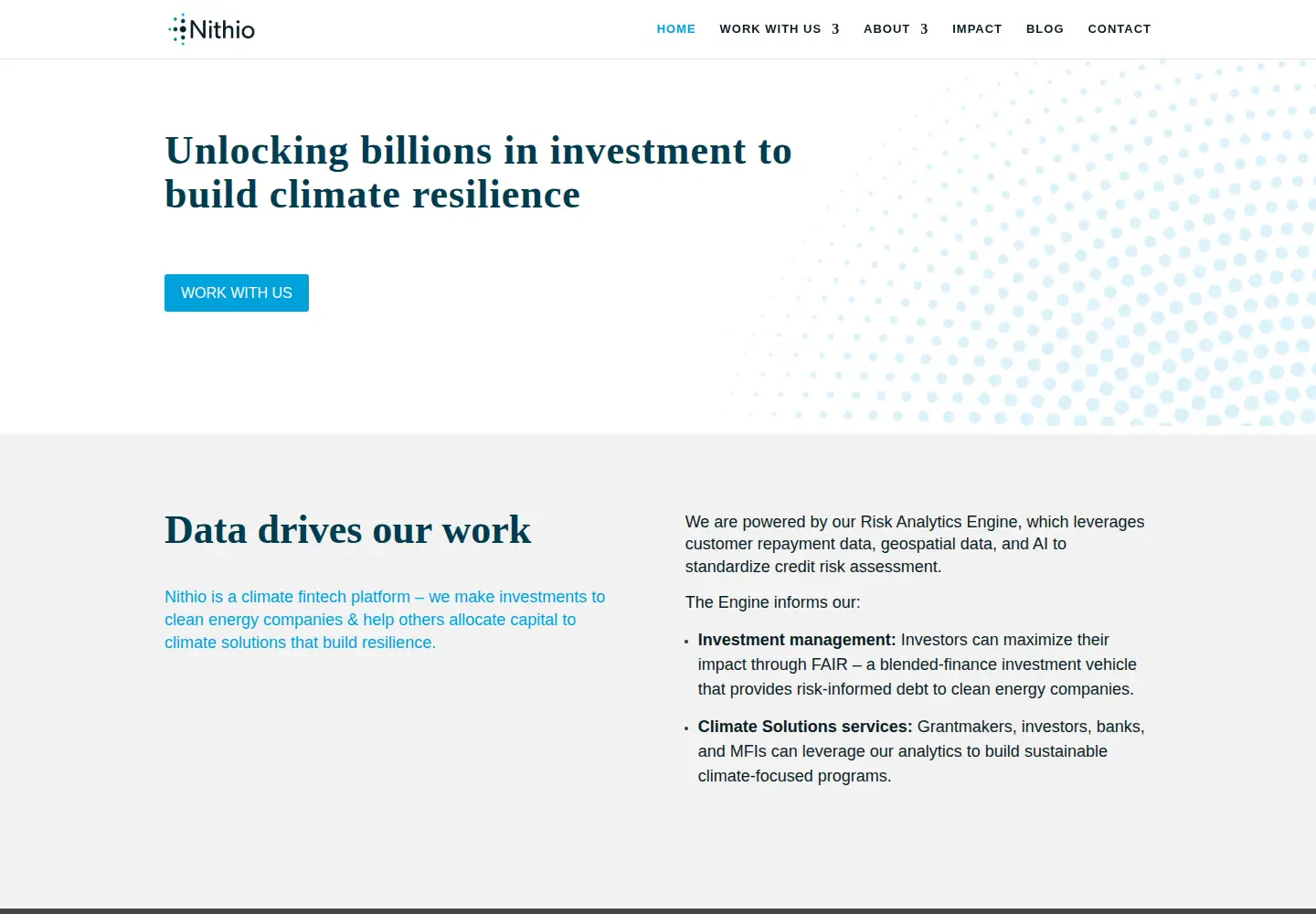 Captured homepage of nithio.com in the current scan