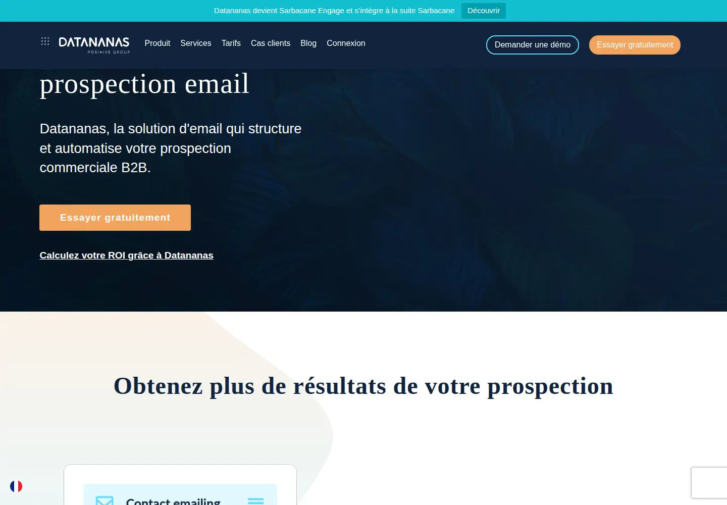 Screenshot of datananas.com