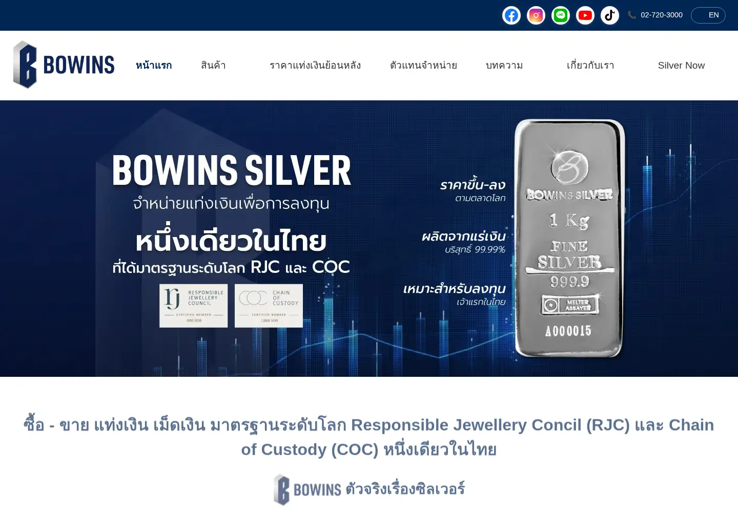 Screenshot of bowinsgroup.com