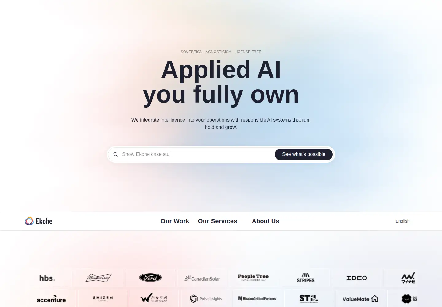 Screenshot of ekohe.com