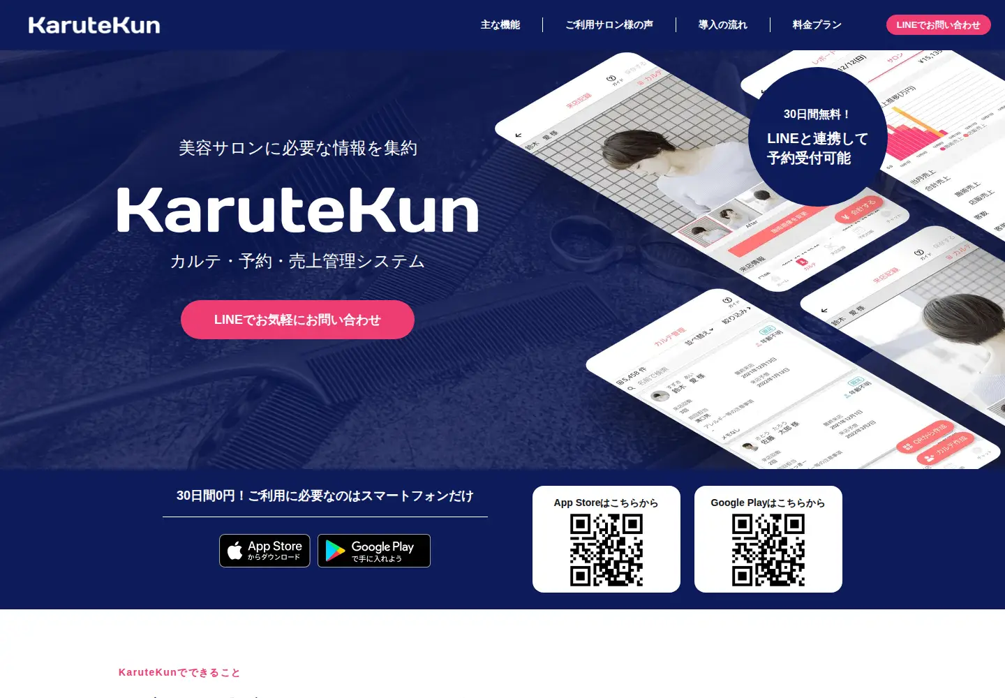 Screenshot of karutekun.com