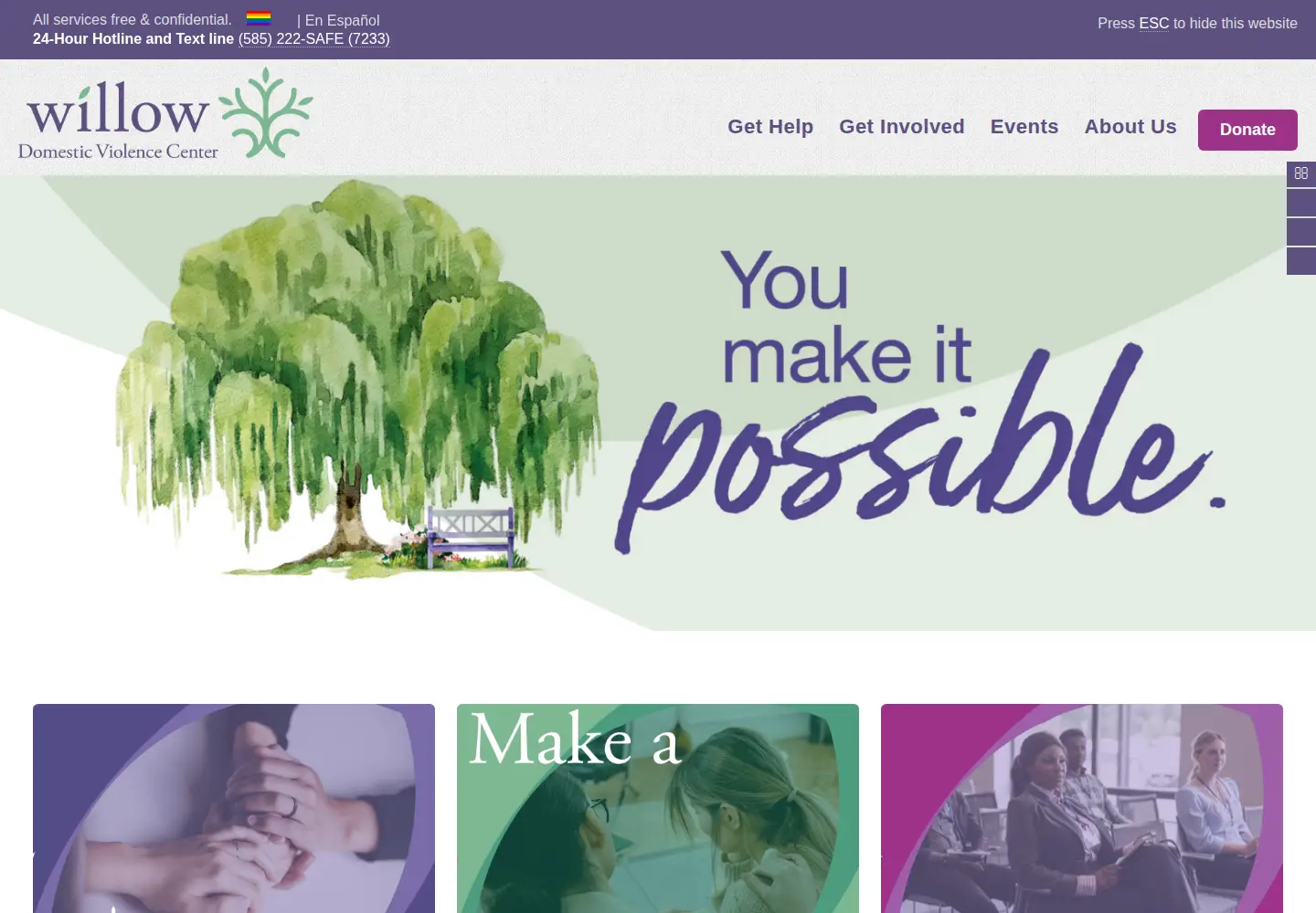Captured homepage of willowcenterny.org in the current scan