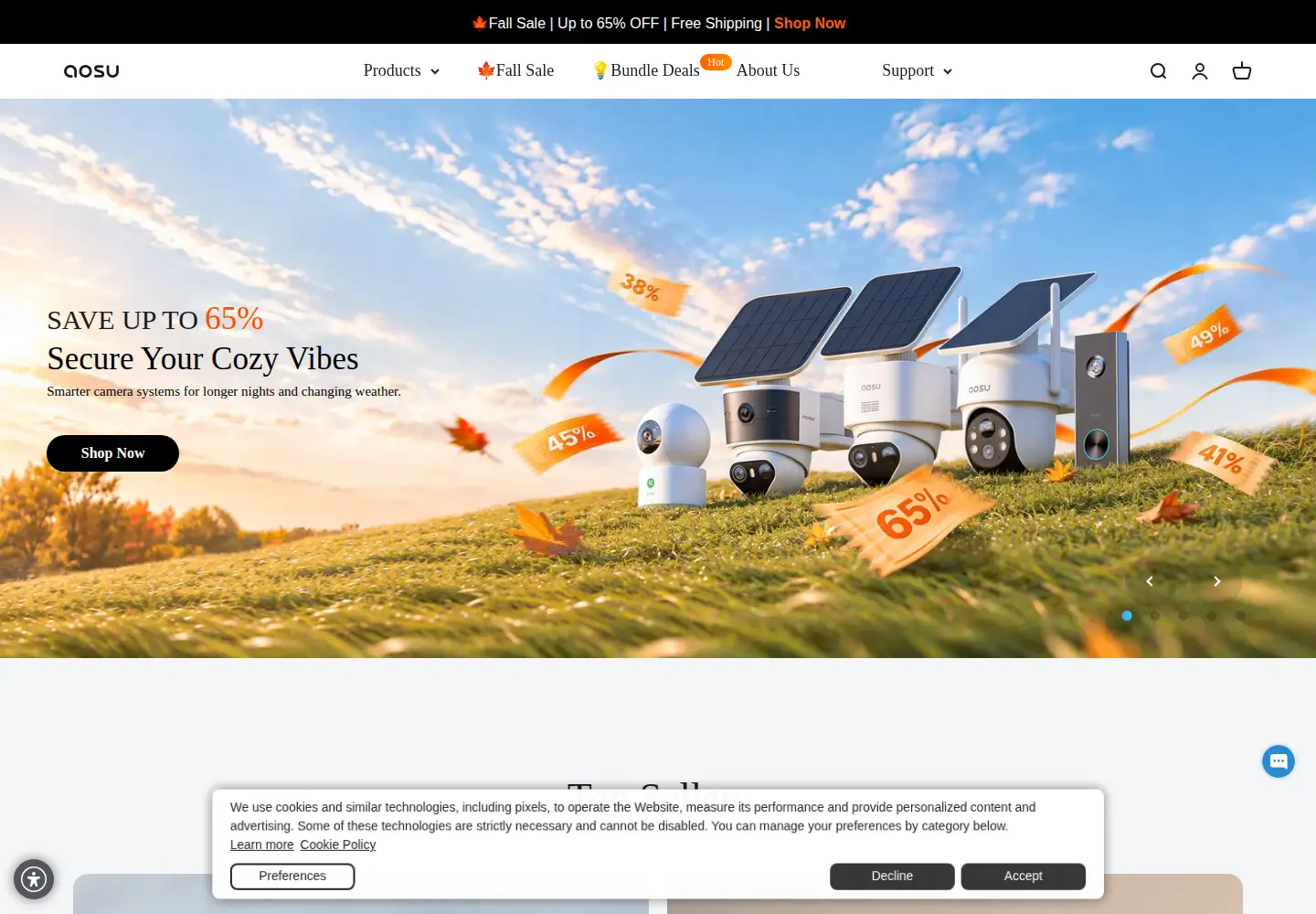 Screenshot of aosulife.com