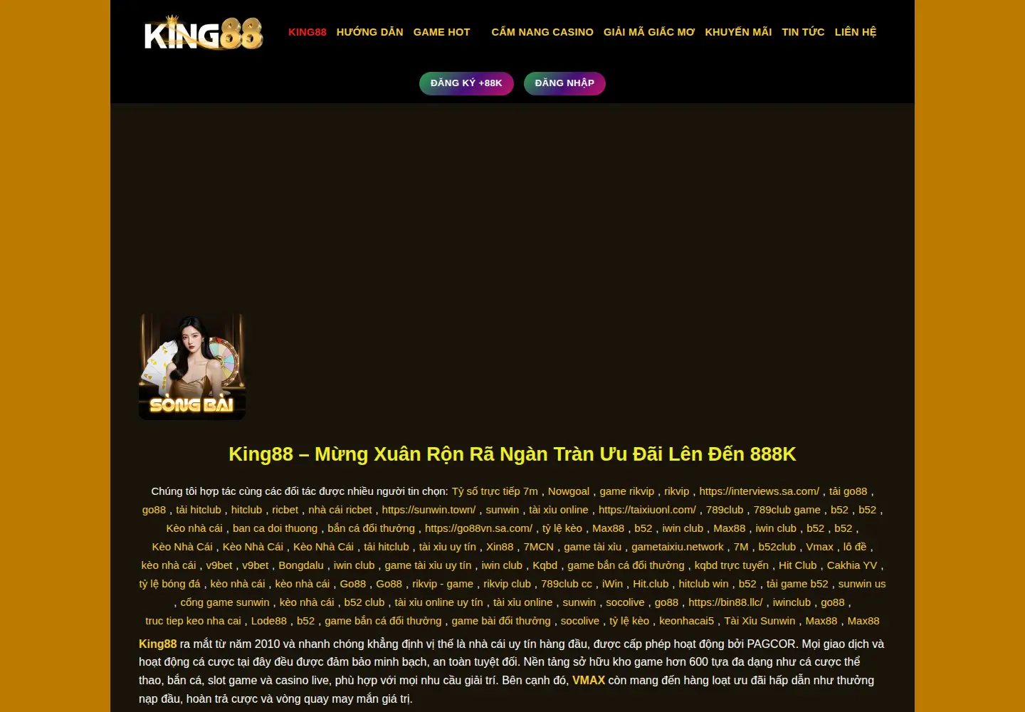 Screenshot of king88.dental