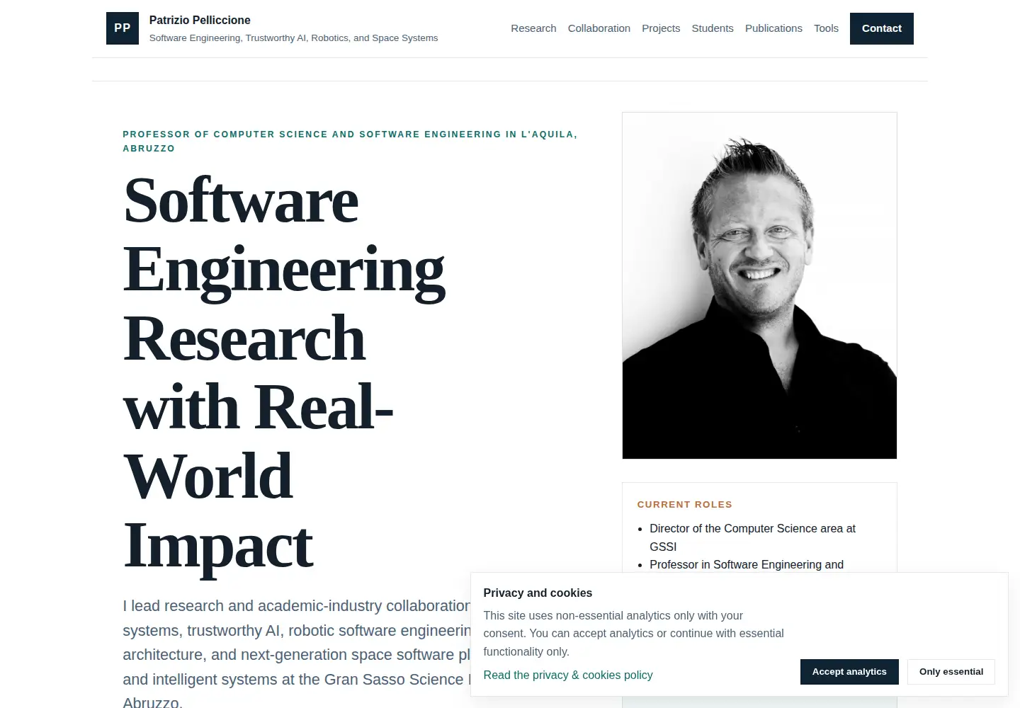 Screenshot of patriziopelliccione.com