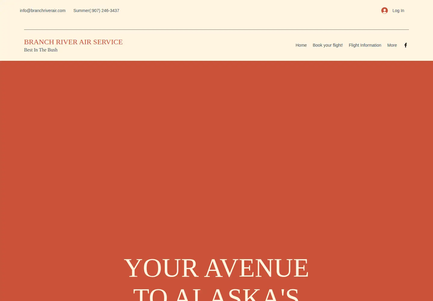 Screenshot of branchriverair.com