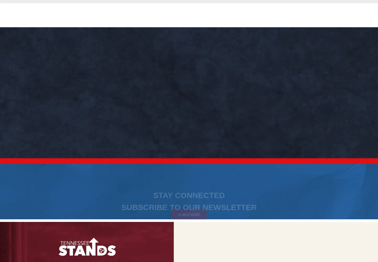 Screenshot of tennesseestands.org