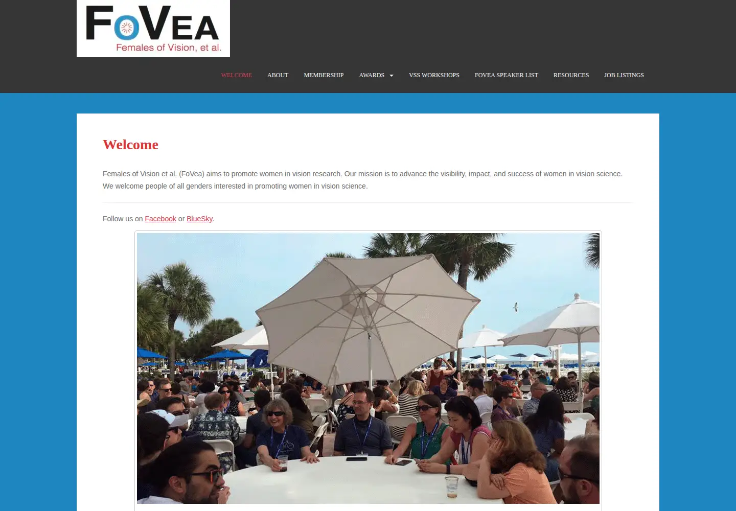 Screenshot of foveavision.org