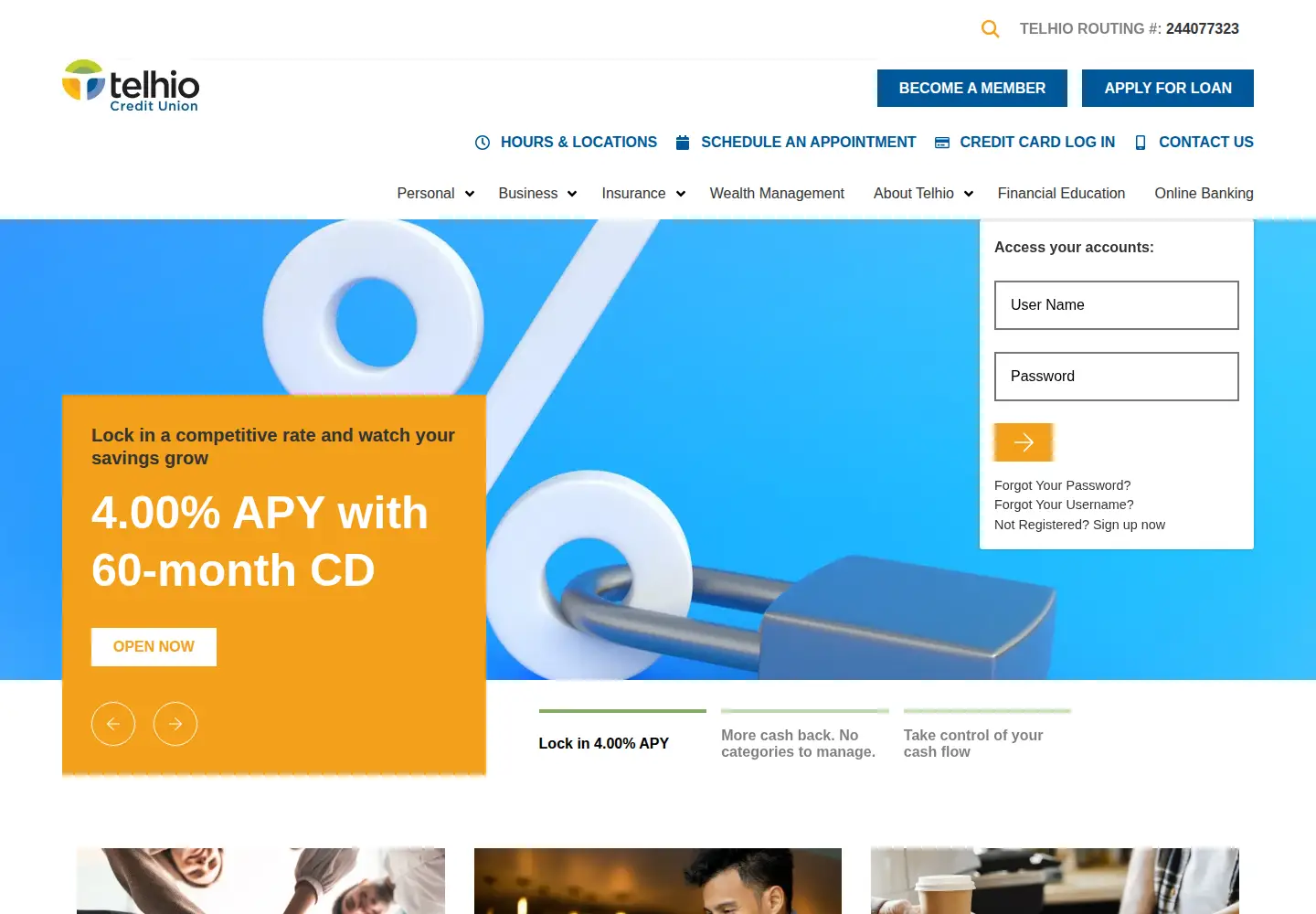 Screenshot of telhio.org