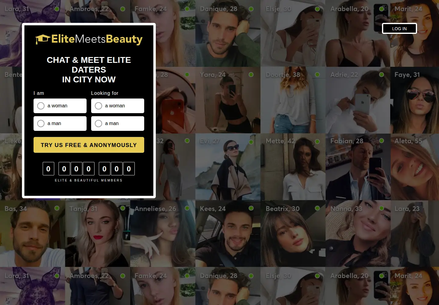 Screenshot of elitemeetsbeauty.com