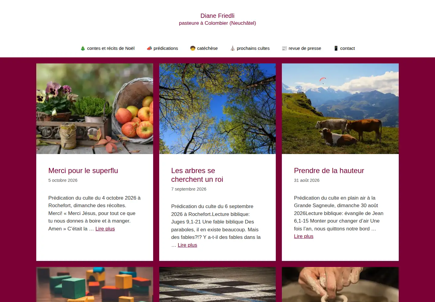 Screenshot of dianefriedli.ch