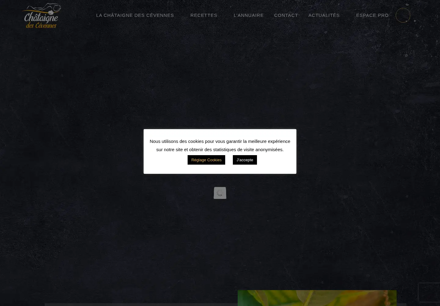 Screenshot of chataignedescevennes.com