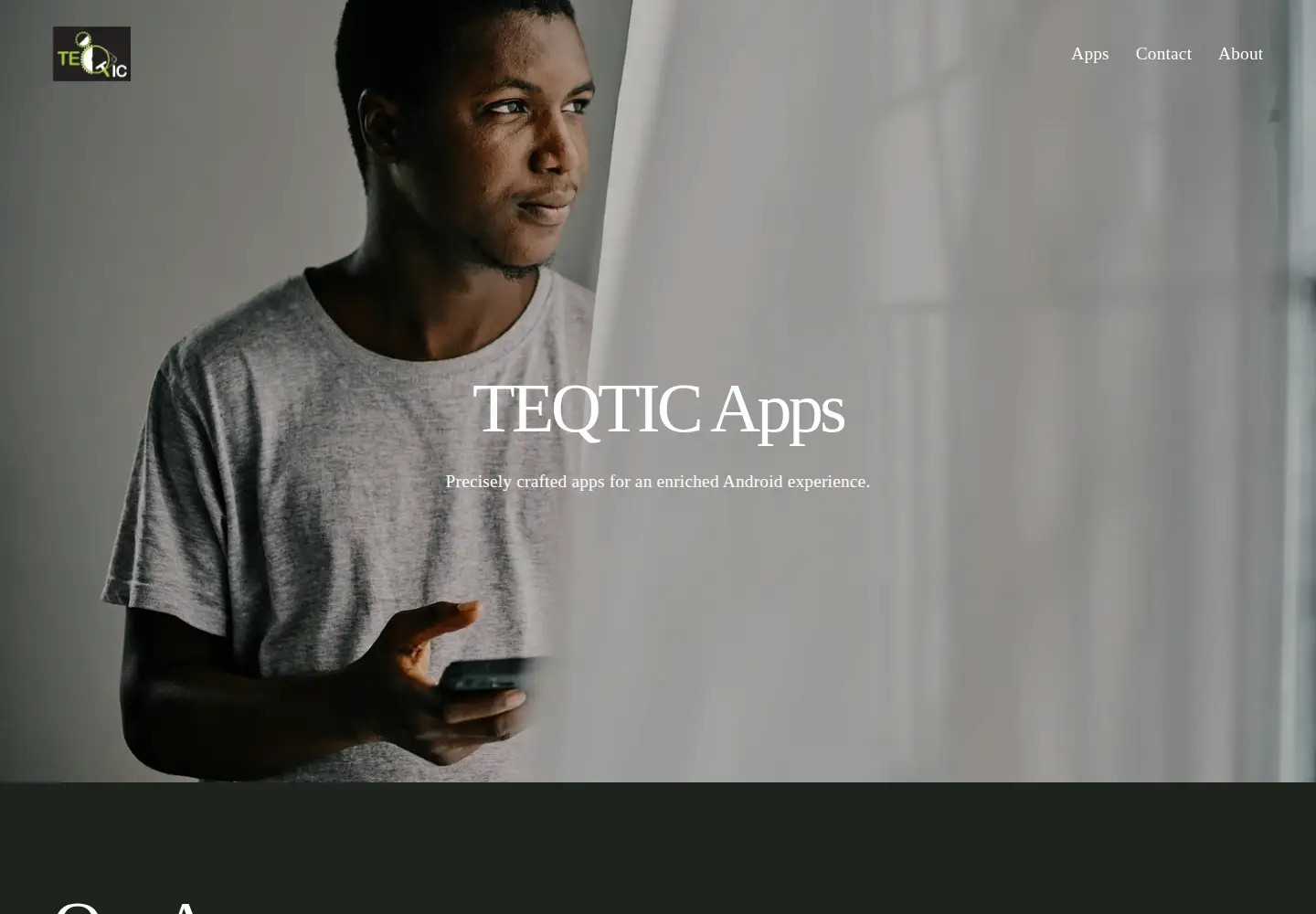 Captured homepage of teqtic.com in the current scan