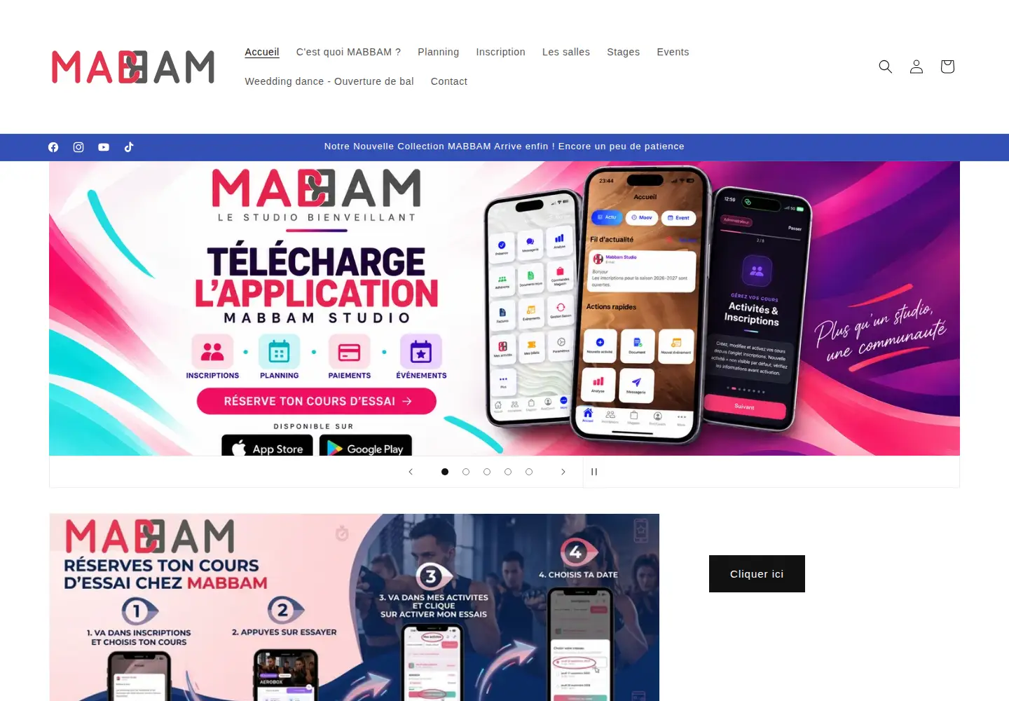Captured homepage of mabbam-studio.fr in the current scan