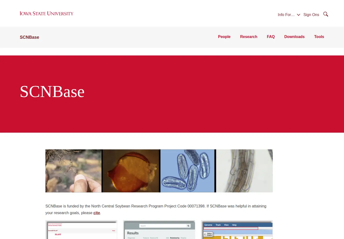 Screenshot of scnbase.org