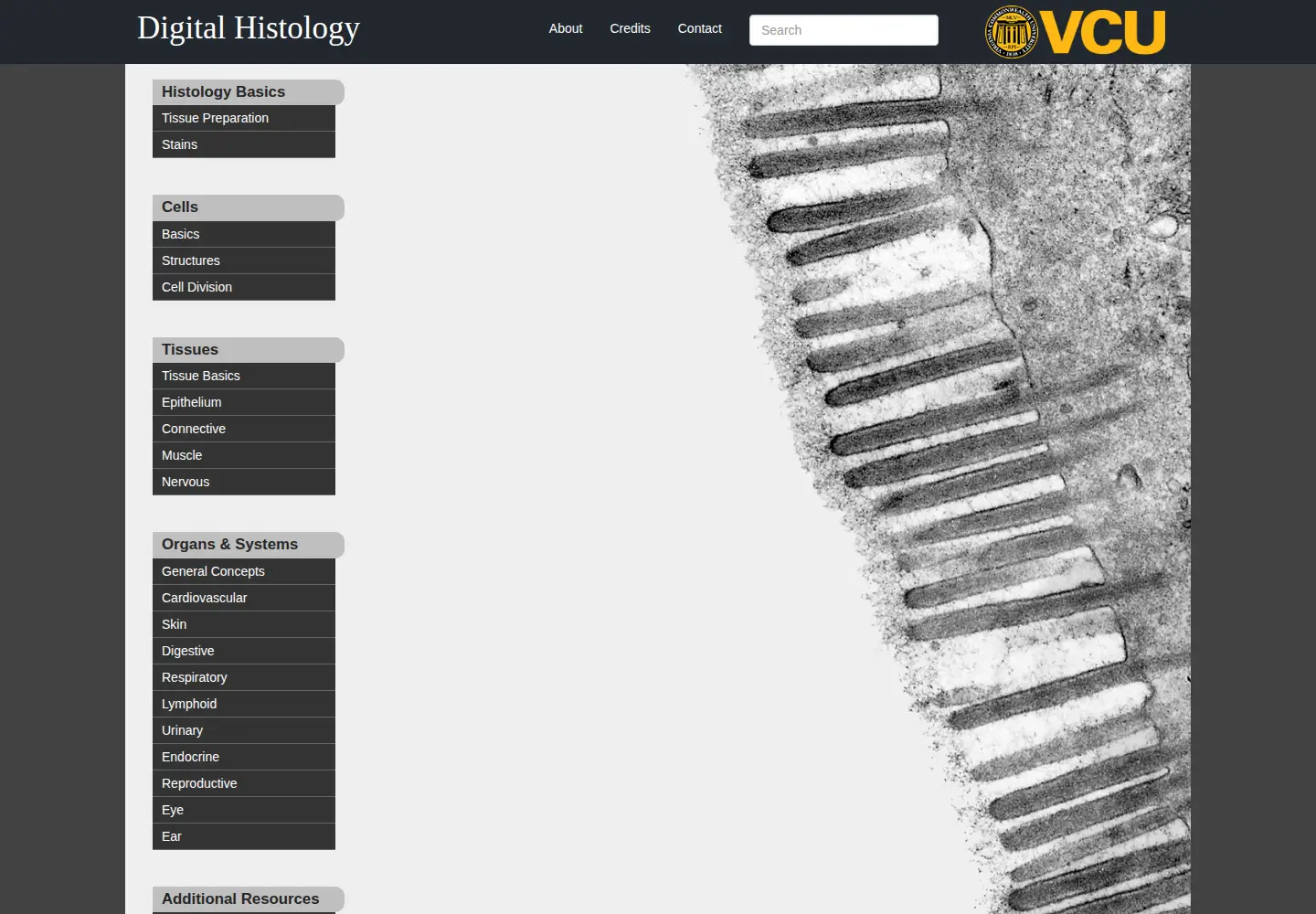 Screenshot of digitalhistology.org