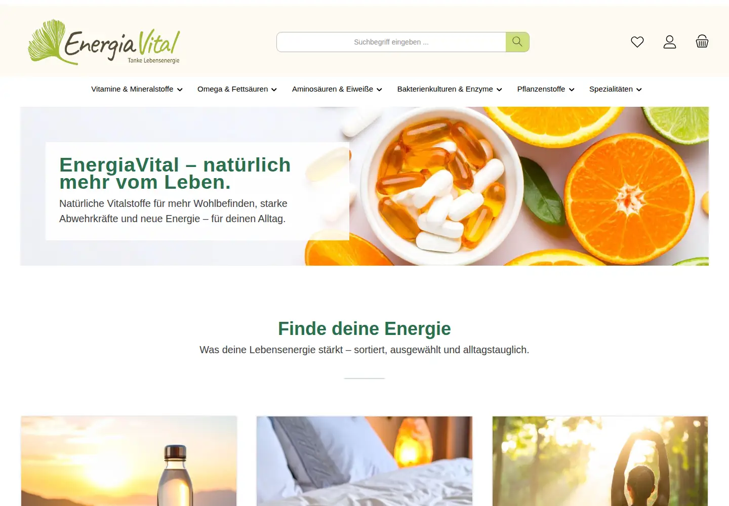 Screenshot of energiavital.de