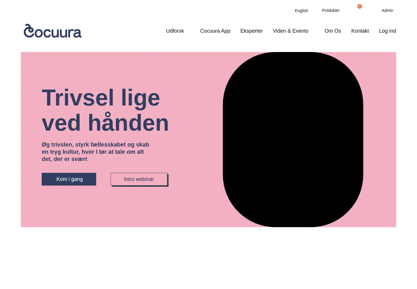 Captured homepage of cocuura.dk in the current scan