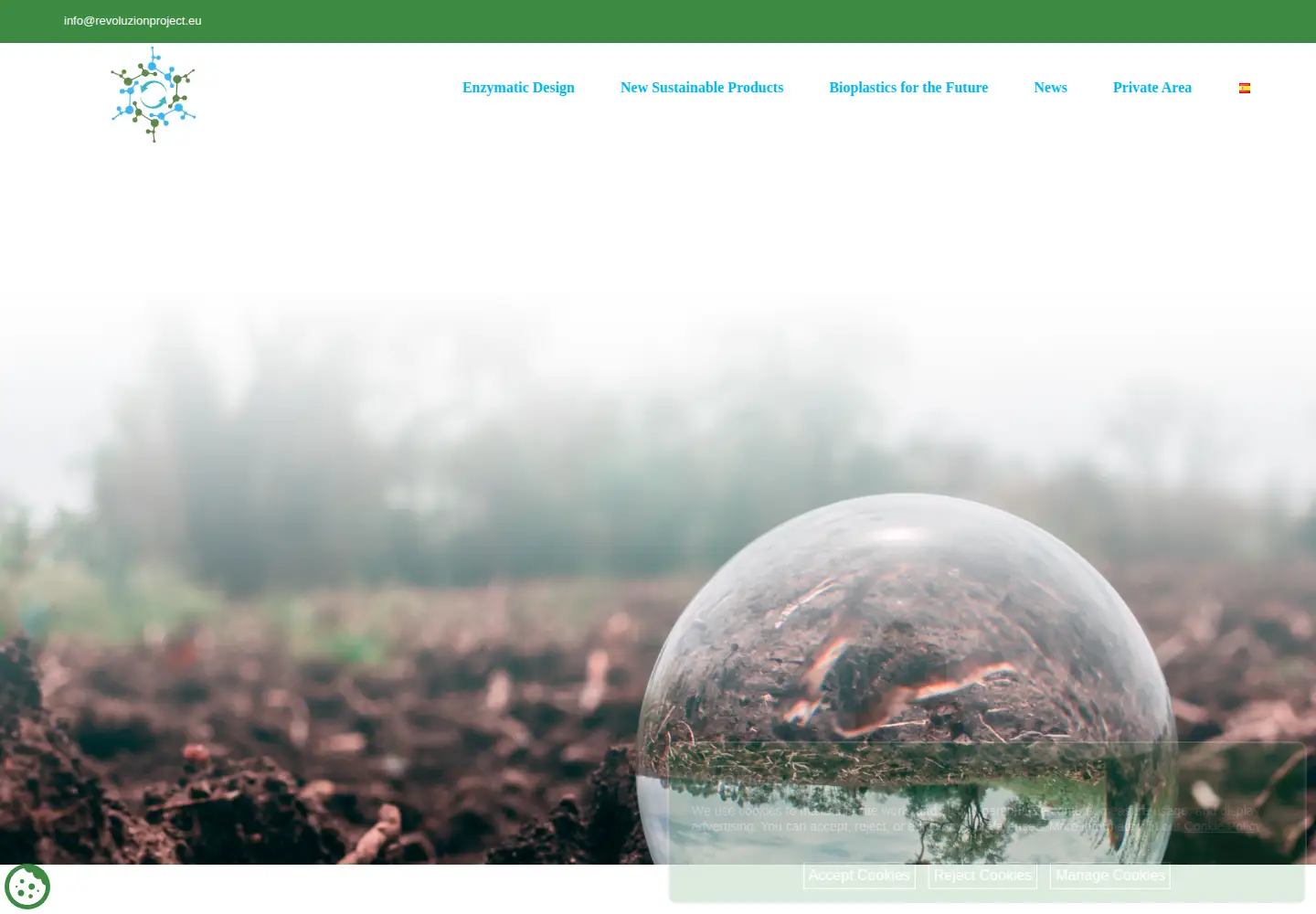 Screenshot of revoluzionproject.eu